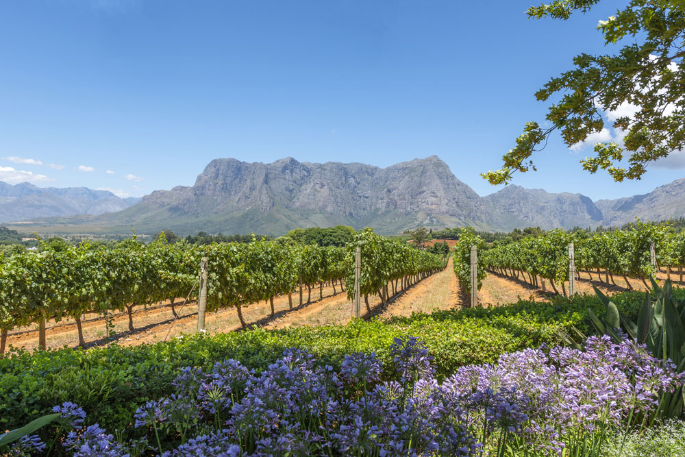 The Winelands, South Africa