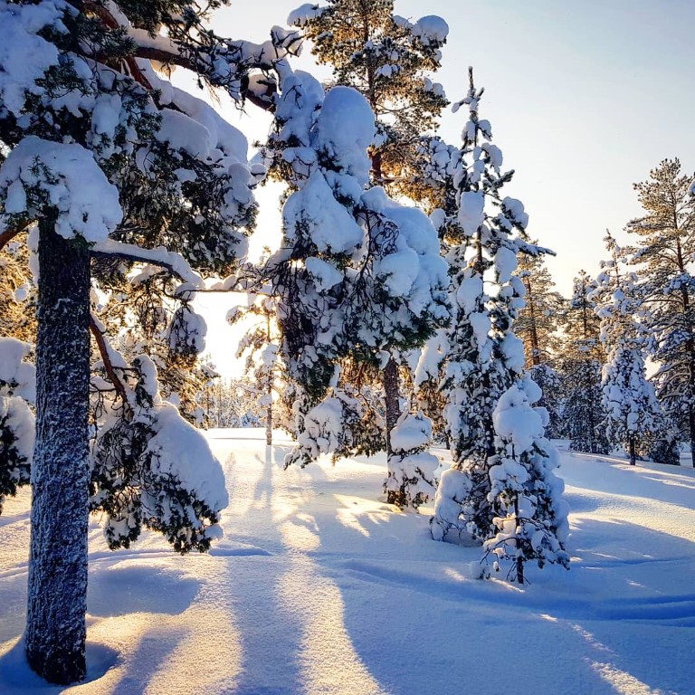 Find your winter wonderland
