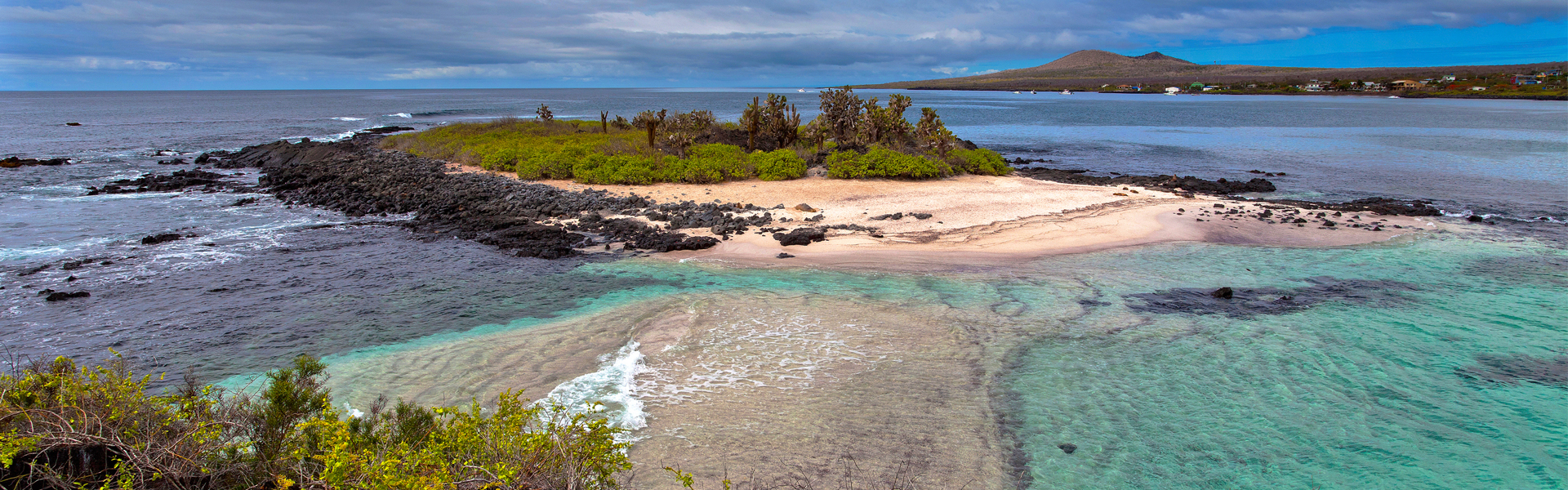 Greetings From the Galapagos