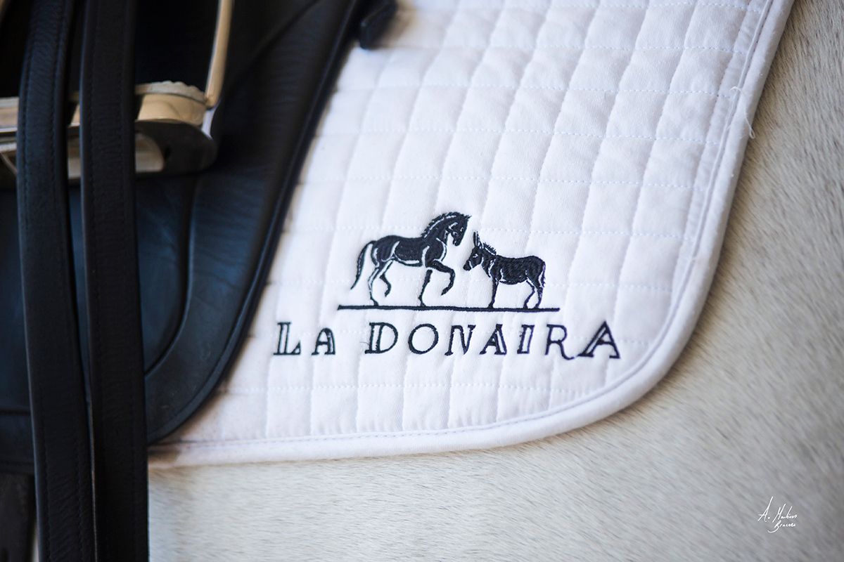 Horse riding is at the heart of life at La Donaira