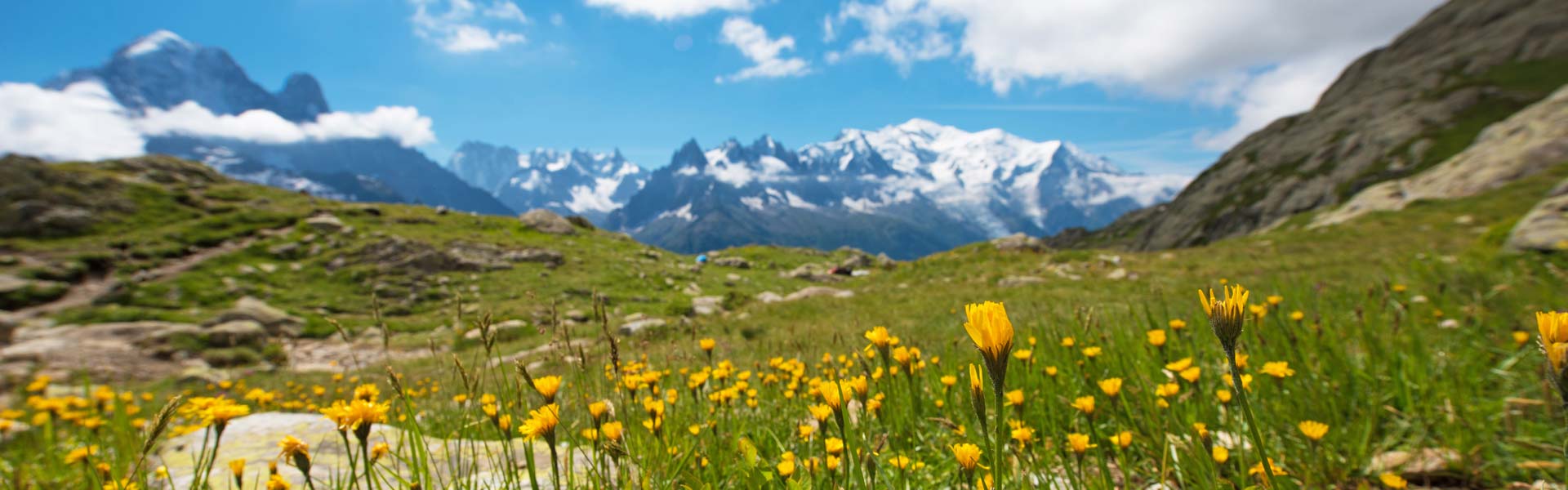 The Alps: Not just for winter