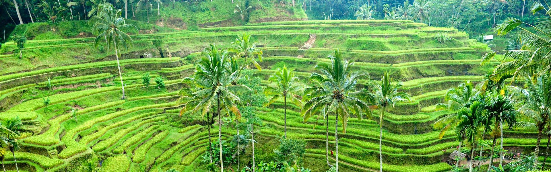 Three unusual experiences in Bali