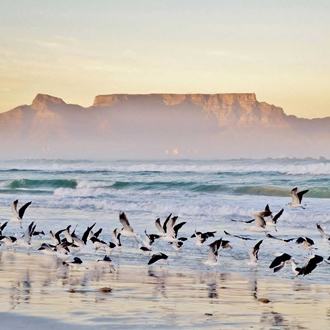south africa