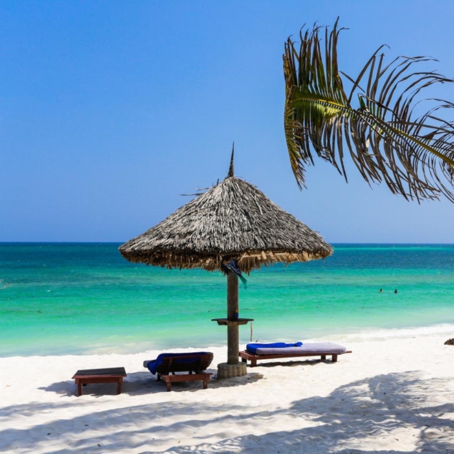 Turtle beach, Watamu in Kenya