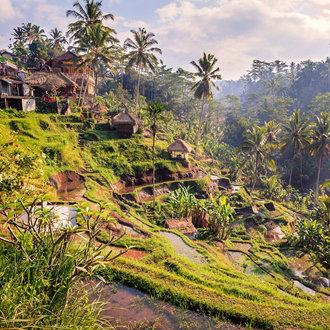Bali