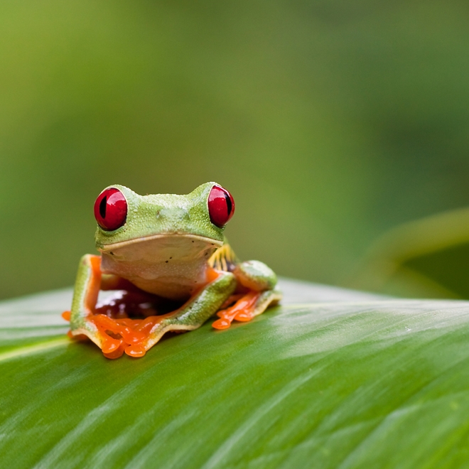 Costa Rica