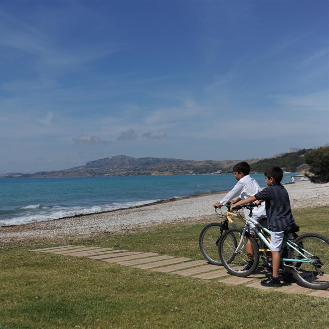 Bikes, Verdura