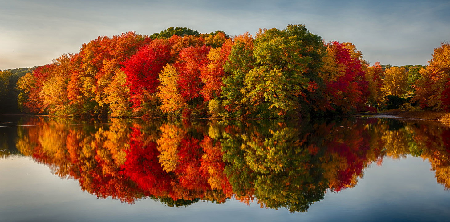 Autumn (September - November)