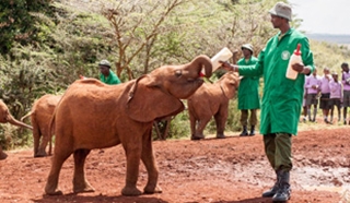 David Sheldrick Wildlife Trust