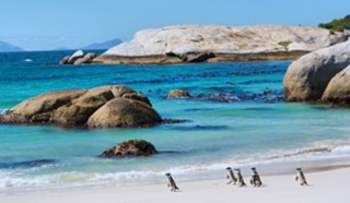 South Africa for Teens