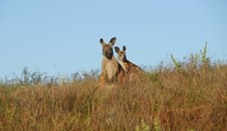Our highlights of Australia