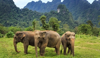 Thailand for families