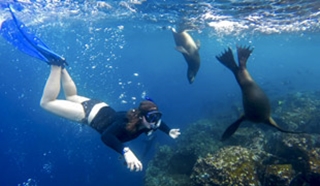 Insight from our Galapagos guide