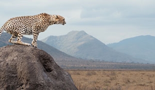 Kenya for Teens