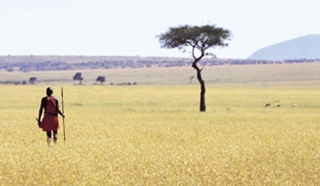 Maasai Mara