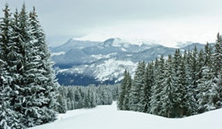 Resort guide: Meribel