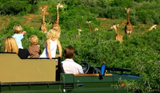 Family safari in Africa