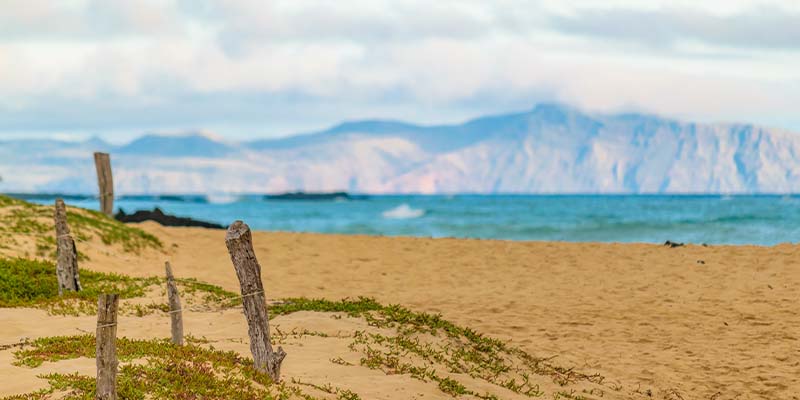 A beach and ocean with mountains in the background