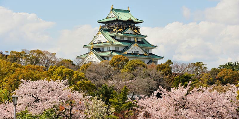 Osaka castle on a hilltop surrounded by trees