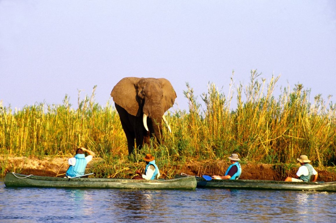 Canoeing down the Zambezi