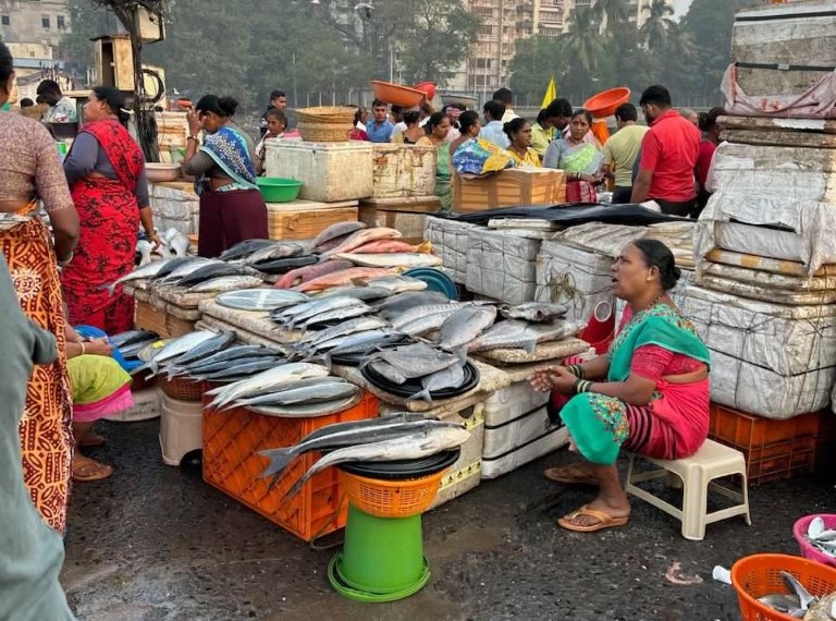 Fish market in India