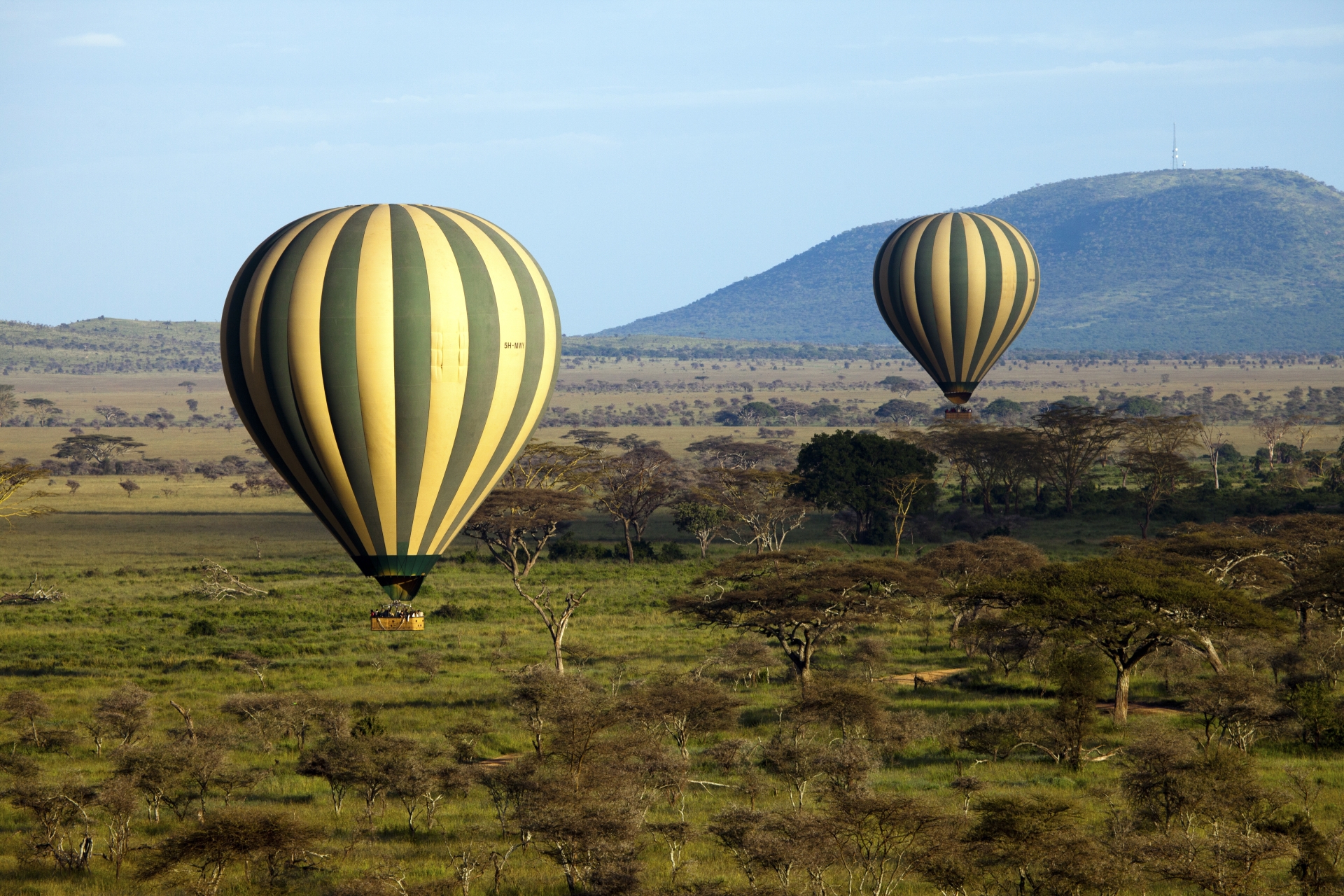 Hot air balloons over the Serengeti National Park