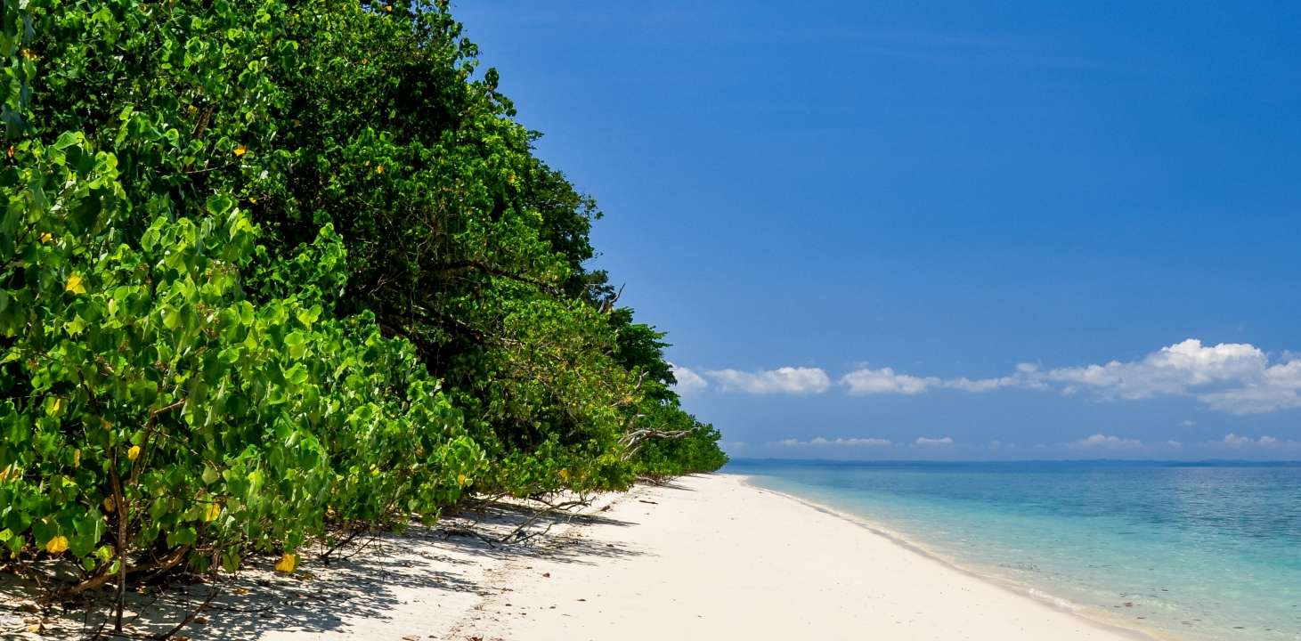 Things to Do on Havelock Island