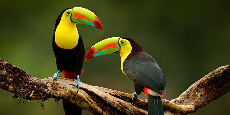 Hiking in Costa Rica