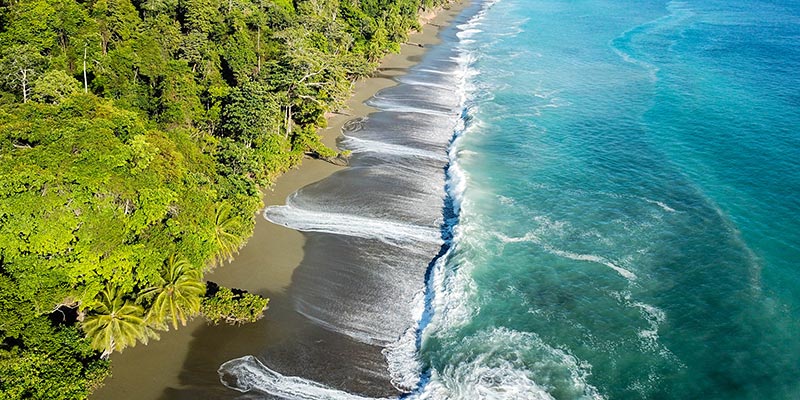 A birds eye view of the rainforest and beachfront