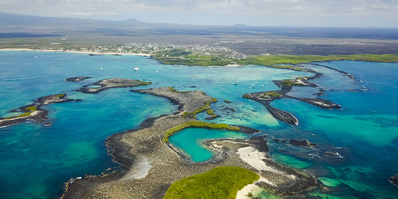 Birdseye view of Tintoreras Islet