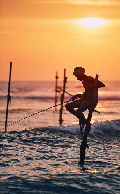 Stilt Fisterman, Sri Lanka
