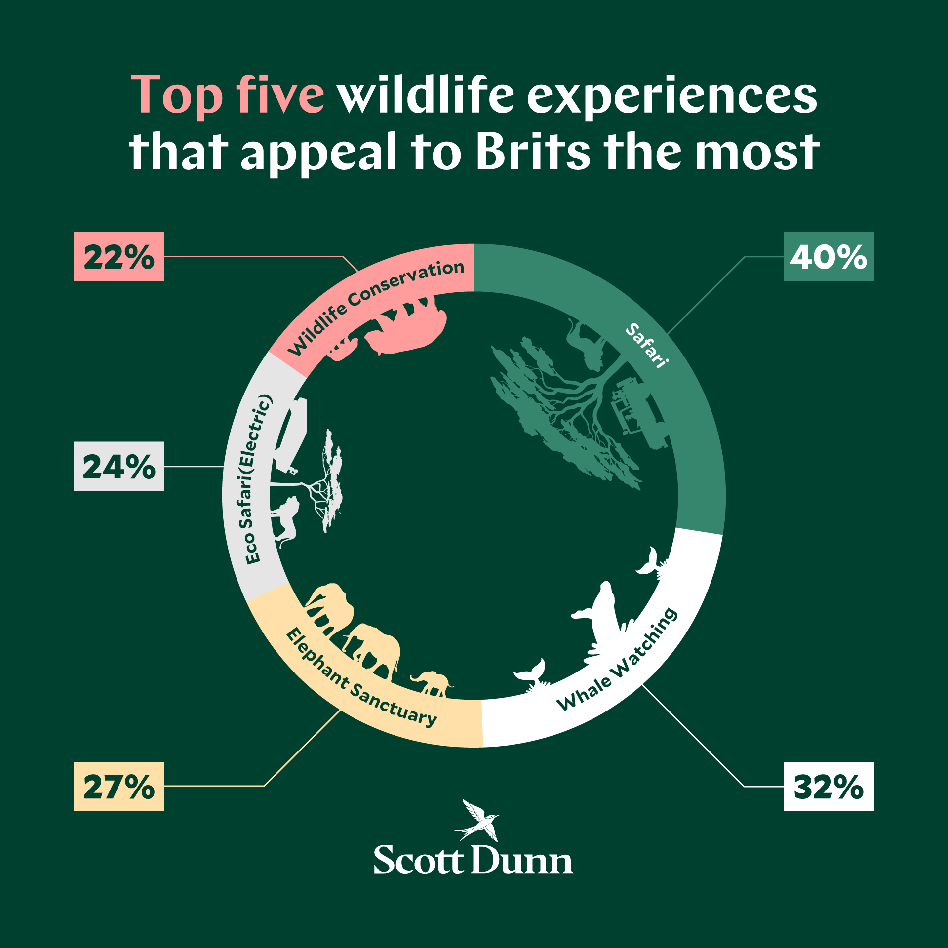 Top 5 most sought after wildlife experiences on holiday