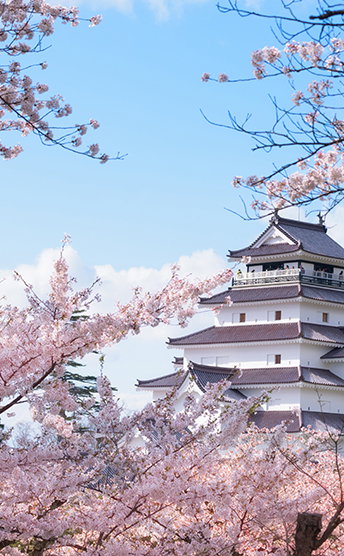 Sakura, Japan
