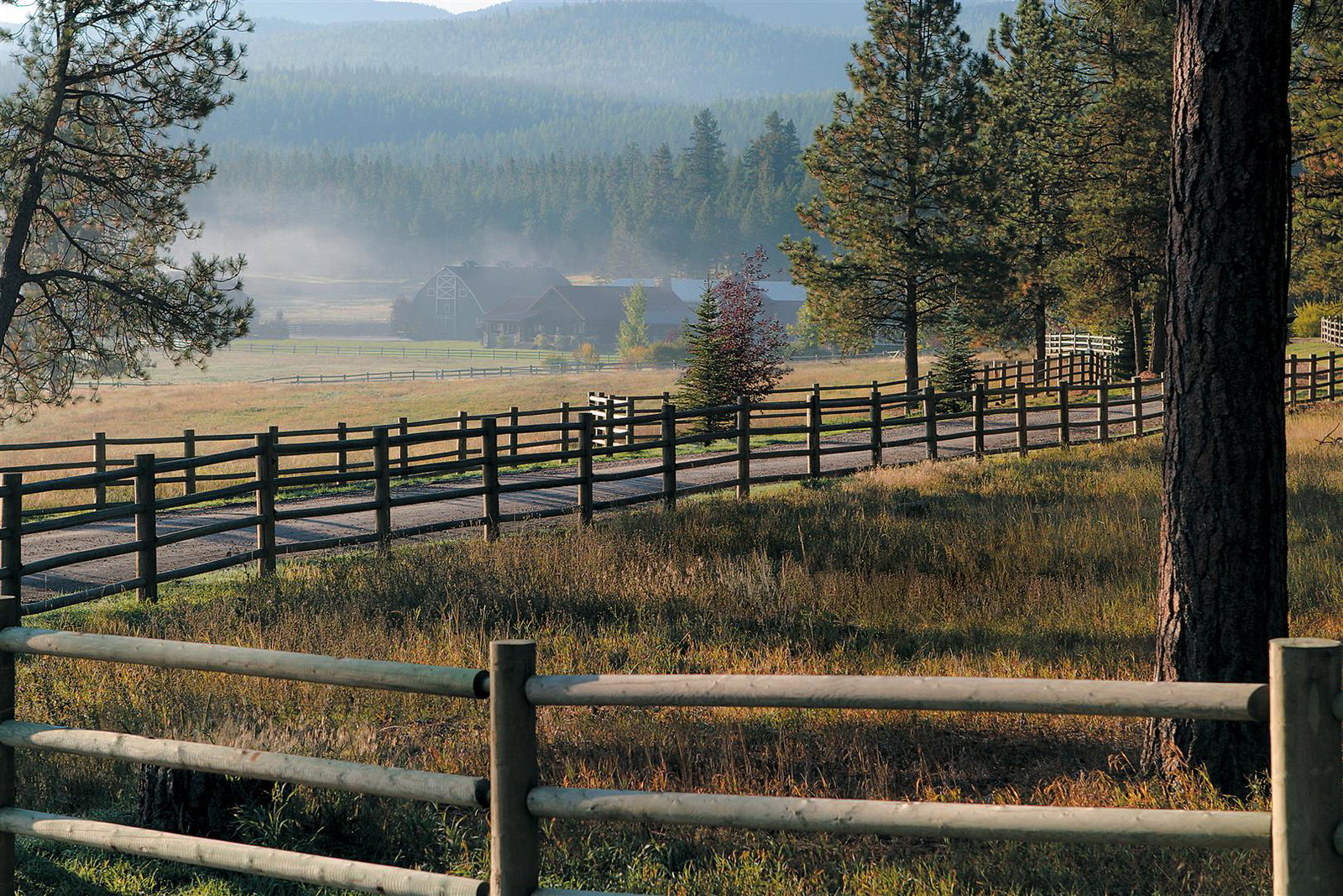 Misty morning