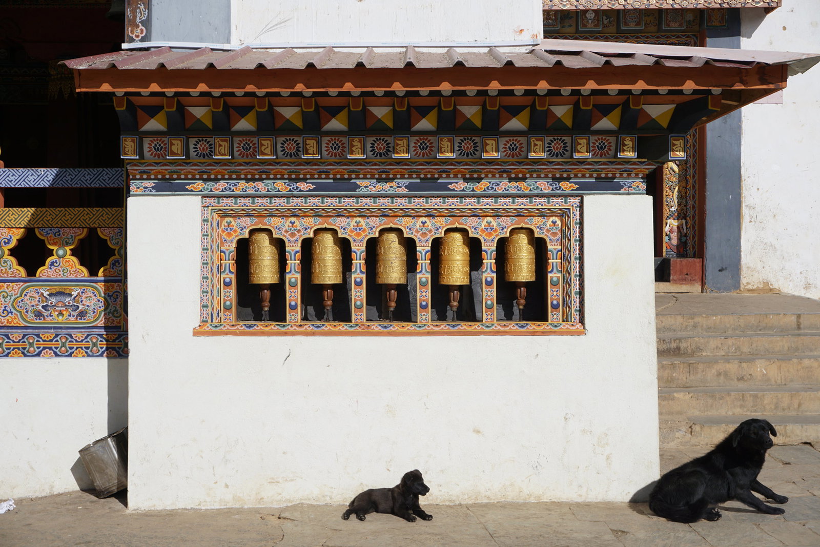 Time to unwind for one dog in front of the prayer wheels