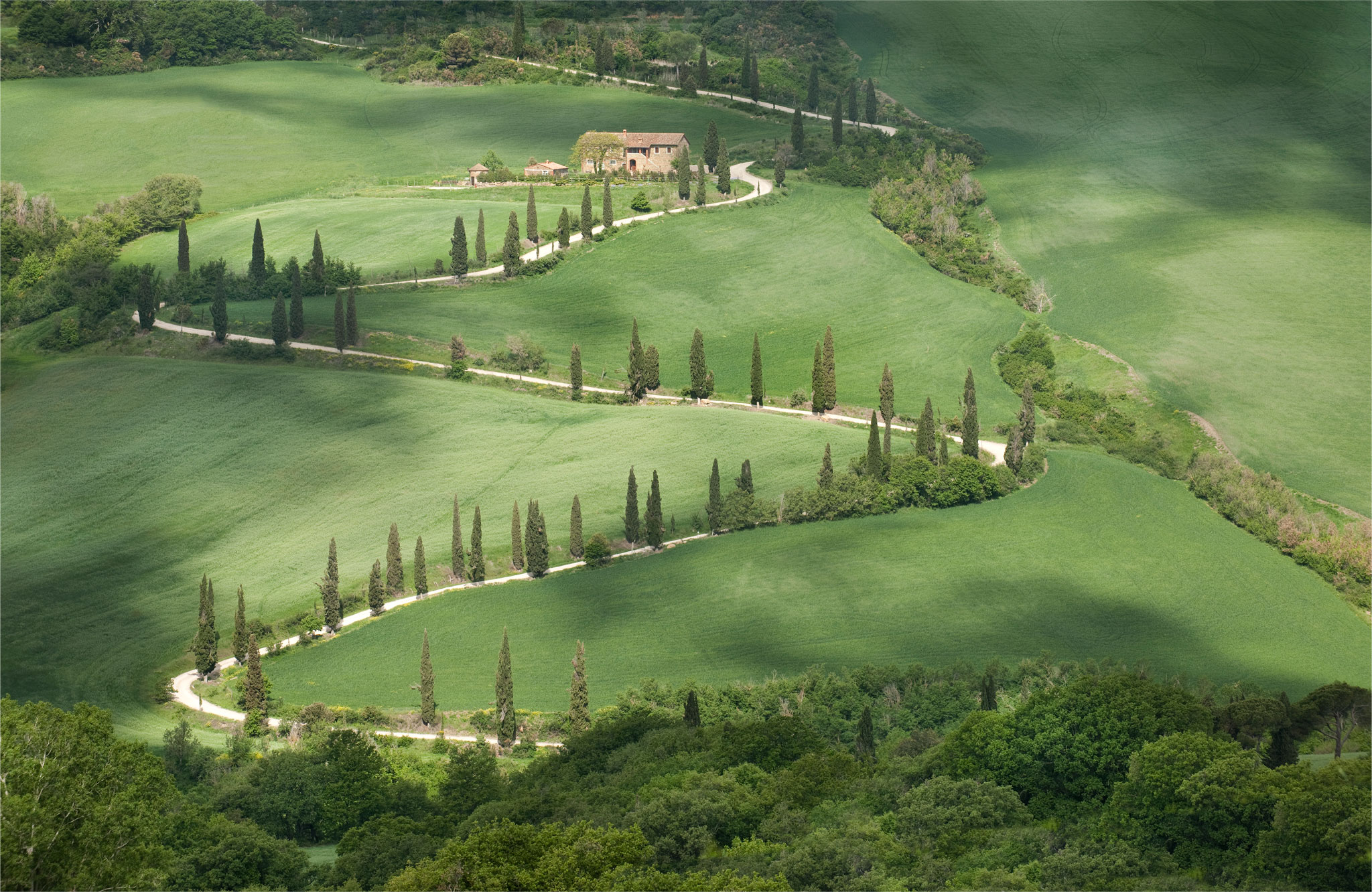 Rolling hills surrounding Monteverdi