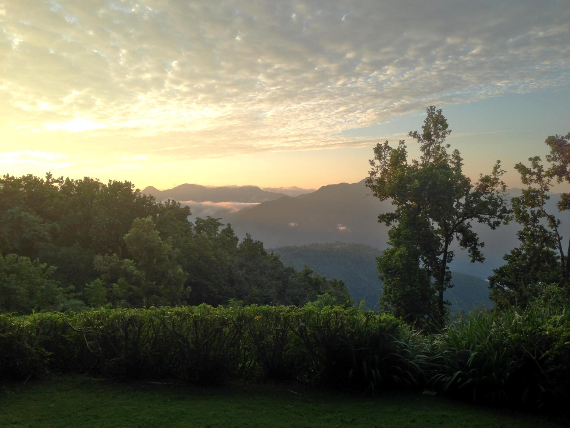 Views of the lush Sal forests