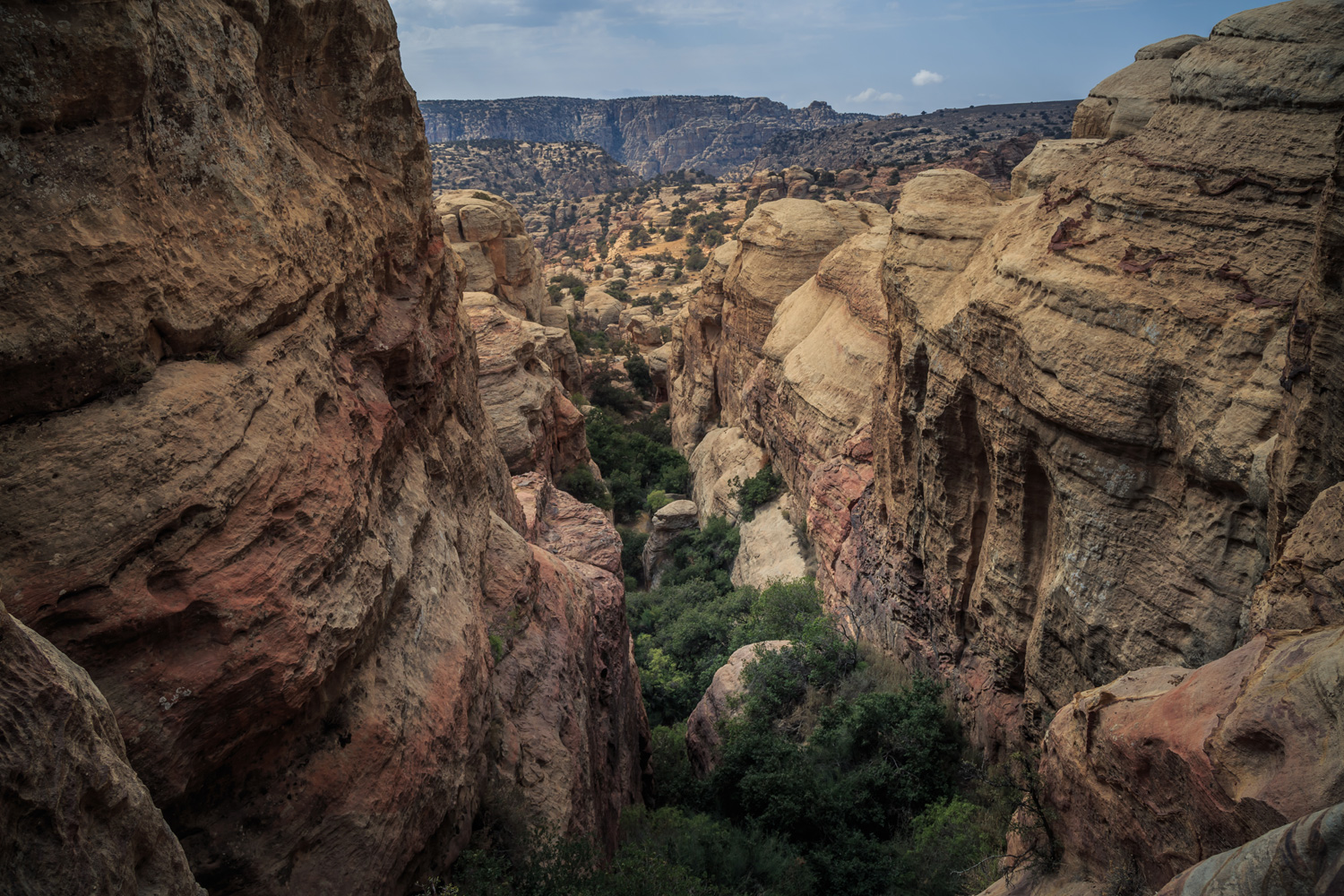 Walking in Dana Biosphere