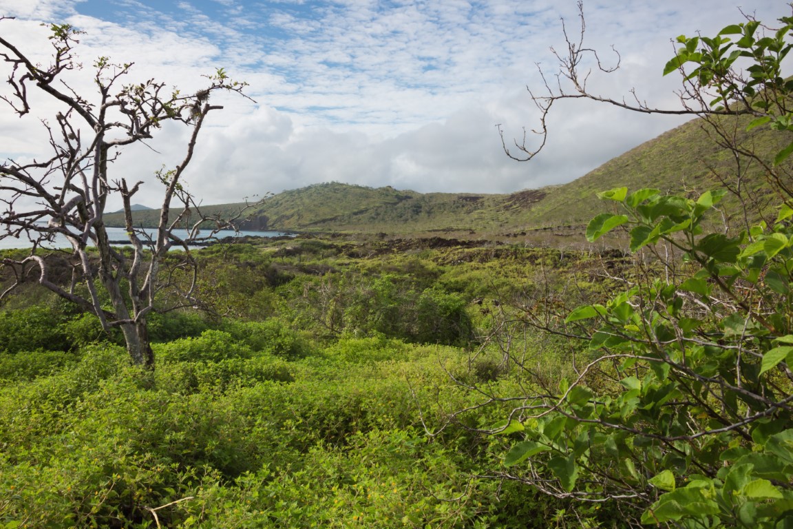 Landscape of Floreana