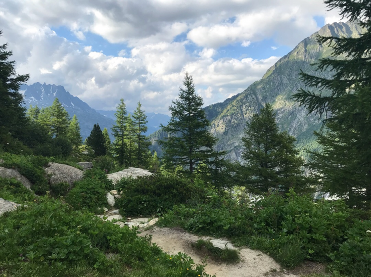 Beautiful scenery of the Alps
