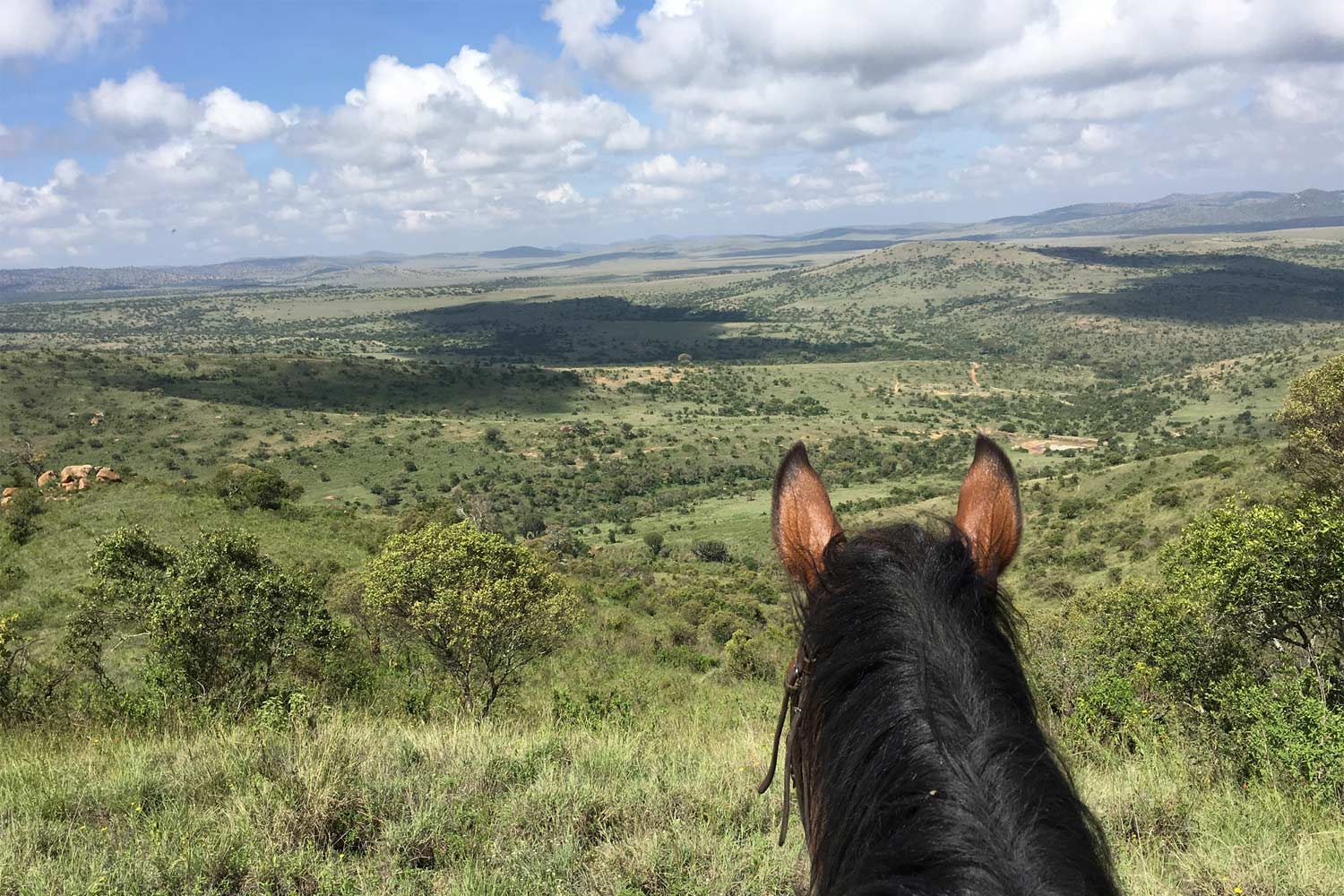 Loving Laikipia