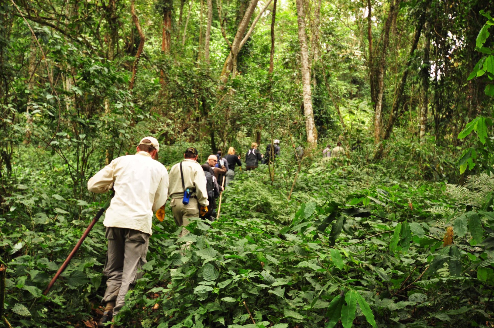Trekking in Uganda