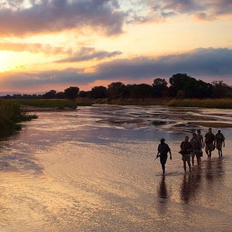 Robin Pope Walking Safari