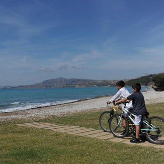 Bikes, Verdura