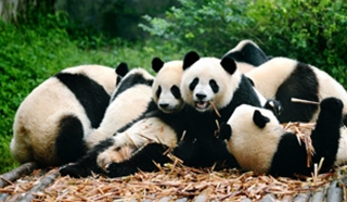 Family adventure in China