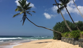 First Look, KK Beach