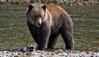 Best of British Columbia