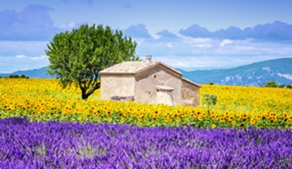 Destination guide: Côte d'Azur