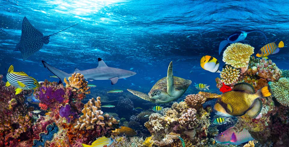 Mauritius