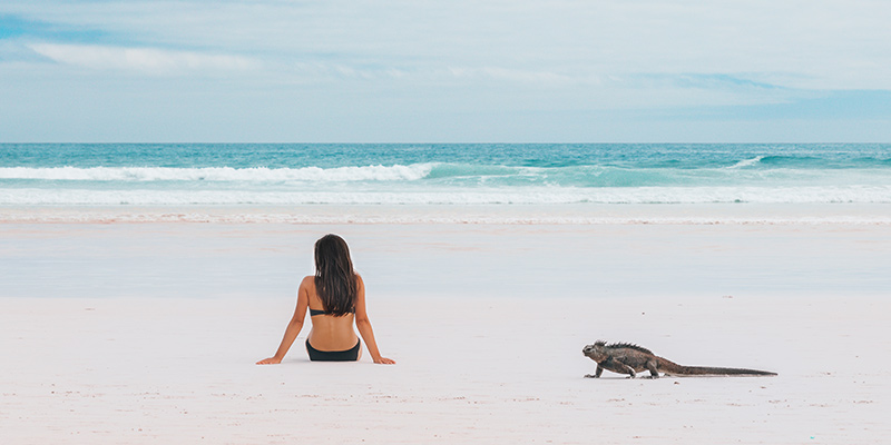 A woman sitting on a beach near an iguana